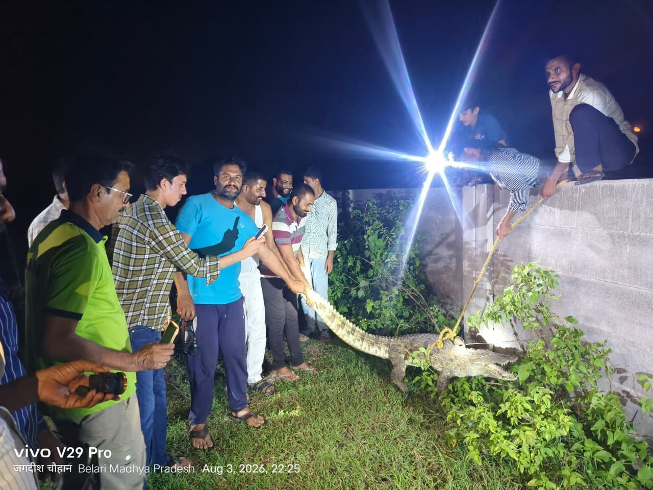 सीतामऊ के बेलारी में दिखा 5-7 फीट लंबा मगरमच्छ, ग्रामीणों ने किया रेस्क्यू